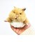 はむにぎり みたらし マスコット ぬいぐるみ りぶはあと