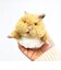 はむにぎり みたらし マスコット ぬいぐるみ りぶはあと