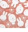 ミッフィー miffy フラワー バスタオル ピンク