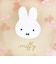 ミッフィー miffy メッシュ船形ポーチ ピンク チェリーフルールシリーズ