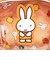 ミッフィー miffy ボックスポーチ オレンジ My Favorite Dress