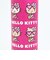 サンリオ 日焼けキティ ステンレスボトル ランチ (ピンク) 水筒 Sanrio