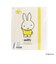 ミッフィー miffy バンド付き A4クリアホルダー (6P) イエロー ブルーナ・カラーシリーズ クリアファイル 文具