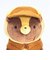 タヌキとキツネ (タヌキ) ぬいぐるみ