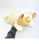 ディズニー ライオンキング シンバ モチハグ抱きまくら(L) クッション ぬいぐるみ 寝具 Disney
