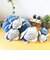 ディズニー ズートピア ジュディ モチハグ抱きまくら(M) クッション ぬいぐるみ 寝具 Disney