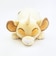 ディズニー ライオンキング シンバ モチハグ抱きまくら(M) クッション ぬいぐるみ 寝具 Disney