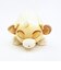ディズニー ライオンキング シンバ モチハグ抱きまくら(S) クッション ぬいぐるみ 寝具 Disney