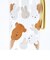 ミッフィー miffy (ミッフィー＆ボリス) プラボトル 【500ml】 水筒 ランチ