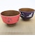 スヌーピー 汁椀 (朱色) 日本の伝統色シリーズ 食器 日本製 SNOOPY
