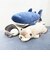 パクっとCOOL クール抱きまくら(S) サメ ぬいぐるみ りぶはあと