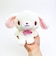 サンリオ シュガーバニーズ しろうさ ふわくた ぬいぐるみ Sanrio