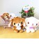 サンリオ シュガーバニーズ しろうさ ふわくた ぬいぐるみ Sanrio
