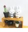 ミッフィー miffy ちょっこりさんキーチャームマスコット (ブラウン) ギンガムマスコットシリーズ