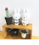 ミッフィー miffy ちょっこりさんキーチャームマスコット (ブラック) ギンガムマスコットシリーズ