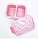 サンリオ ハローキティ 抗菌セパレート型タイトランチボックス(500ml) 水彩コスメ 弁当箱 日本製 Sanrio