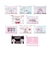 エスターバニー (Esther Bunny) シークレットフラットミニポーチ 全10種 コンプリートBOX