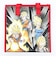 ドラゴンボールZ 不繊布ランチトートバッグ