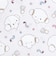 サンリオ こぎみゅん 10th 巾着(M) ちらし 日本製 Sanrio