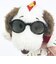 スヌーピー ジョークール マスコットキーホルダー (レッド) カレッジスタイルシリーズ SNOOPY