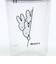 ミッフィー miffy 娯楽シリーズ ストロー付きタンブラー 【320ml】 3個セット ランチ 日本製