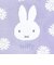 ミッフィー miffy 巾着 パープル ピスタチオ＆ラベンダーシリーズ
