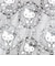 サンリオ ハローキティ A4トートバッグ ルートート ROOTOTE Sanrio