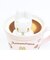 サンリオ マロンクリーム ラテアートマグカップ コップ Sanrio