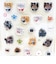 忠犬もちしば ことぶき米店 ぷくっとちゅるるんシール 文具