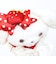 サンリオ ぼんぼんりぼん マスコット ストロベリーショートケーキ スウィートケーキ Sanrio
