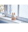 ミッフィー miffy ウッドドールミラー