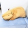 Cushy カピバラ 特大ぬいぐるみ クッション