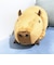 Cushy カピバラ 特大ぬいぐるみ クッション
