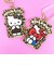 サンリオ ハローキティ 目隠し ラバーパスケース (ヒョウ柄) Sanrio