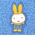 ミッフィー miffy どっとポーチ ショート ゆきのひ/ノーマル