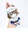 ウマ娘 プリティーダービー シュヴァルグラン Chibiぬいおすわりマスコット ぬいぐるみ