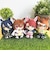 ウマ娘 プリティーダービー ダンツフレーム Chibiぬいおすわりマスコット ぬいぐるみ