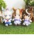ウマ娘 シンデレラグレイ オグリキャップ Chibiぬいおすわりマスコット ぬいぐるみ