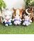 ウマ娘 シンデレラグレイ ベルノライト Chibiぬいおすわりマスコット ぬいぐるみ