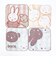 ミッフィー miffy ボリス ミニミニタオル ブルー ハンカチ 西川