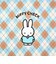 ミッフィー miffy ステーショナリーケース (ブルー) MIFFY CHECK シリーズ