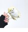 ポメラニアン ダイカットマグカップ コップ