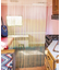 【チャイハネ】スルルンノレン