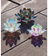 【チャイハネ】ガラスロータスミラーL