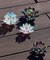 【チャイハネ】ガラスロータスミラーS