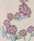 【チャイハネ】ロタナセットワンピース【ＵＶカット加工羽織り付き】
