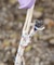 【チャイハネ】ハクリィタープクロス（２７０ｃｍ）