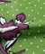 【チャイハネ】メニカンマルチクロス