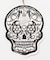 【チャイハネ】【2026年カレンダー】SUGAR SKULL