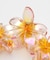 【カヒコ】オーロラプルメリアヘアクリップ